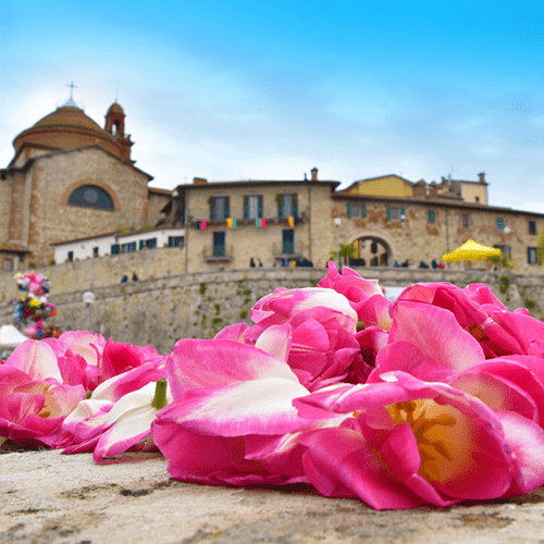 Castiglione del Lago si prepara per la “Festa del Tulipano”, dal 21 aprile al 1° maggio