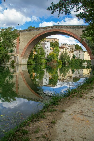 A Fossombrone dal 16 marzo il “Festival del tartufo Bianchetto e vino Bianchello”