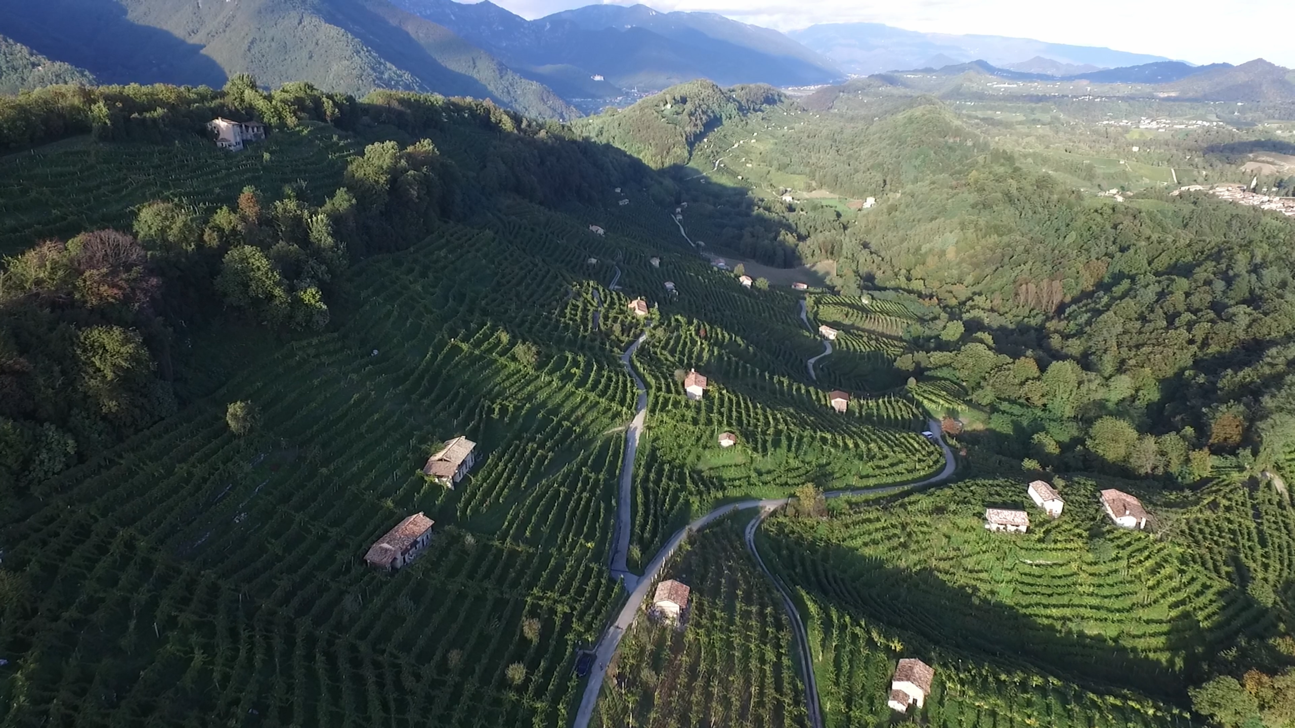 Oltre 1000 viaggiatori, nei primi 3 mesi, per il Cammino del Prosecco delle Colline del Prosecco di Conegliano e Valdobbiadene