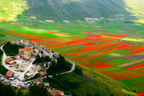 Lo spettacolo naturale più famoso dei Sibillini: la fioritura dei Piani di Castelluccio