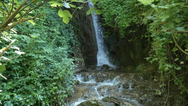 Umbria Green Holidays: un viaggio sostenibile nel cuore verde d’Italia in prima visione martedì 17 settembre