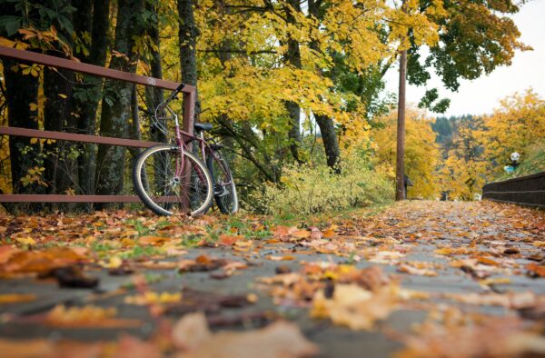 Gli itinerari più scenografici per una pedalata d’autunno in Italia