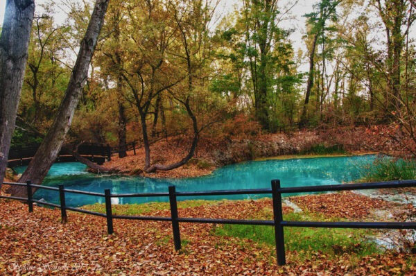 Il Parco del Lavino, fra bioarchitettura e multimediale: un’oasi di pace alle porte di Pescara