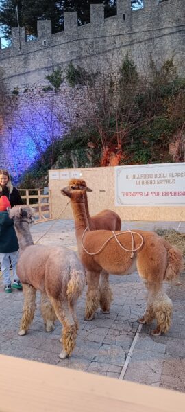 A San Marino brilla il Natale d’altri tempi: Villaggio degli Alpaca, spettacoli, mercatini e molto altro fino al 6 gennaio