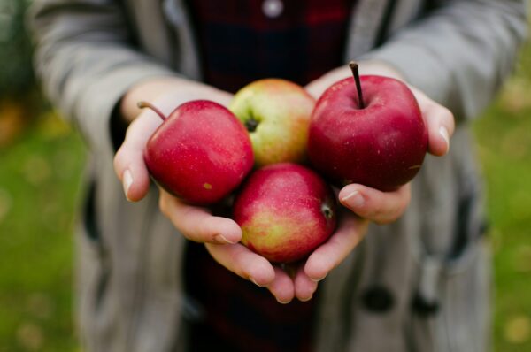 Cucinare i dolci in modo sano e light è possibile aiutandoci con alcuni tipi di frutta