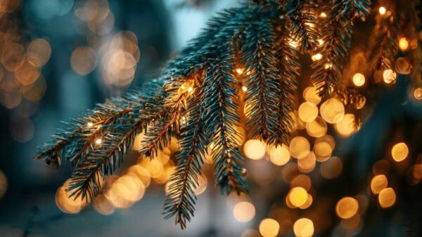 La magia dell’Avvento in Toscana fa rima con “Pistoia Città del Natale”, dal 22 novembre
