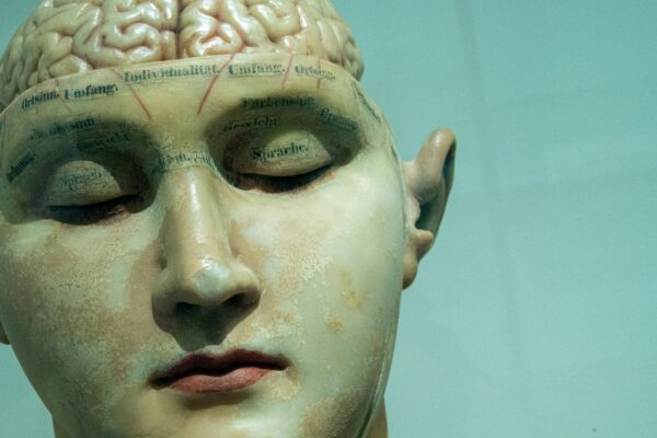 Mantenere la nostra mente giovane e attiva: strategie per pensare sempre più smart