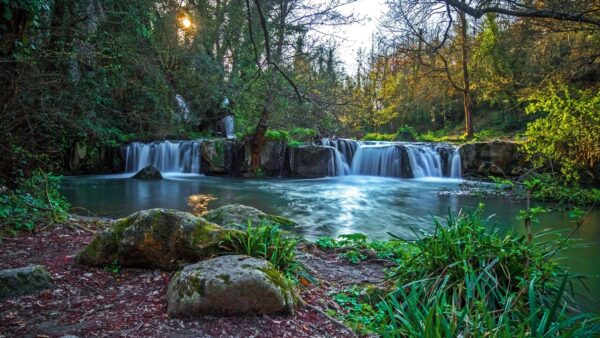 Visitate la Cascata del Picchio: un angolo segreto che non molti conoscono!