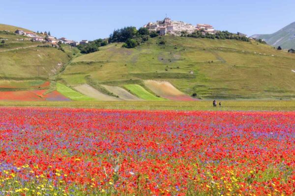 Idee per il Primo Maggio? Scopriamole insieme