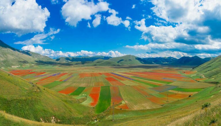 Lo spettacolo naturale più famoso dei Sibillini: la fioritura dei Piani di Castelluccio