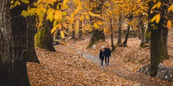 Cosa fare in Valsugana in autunno… montagna, bici, laghi e tanto relax!