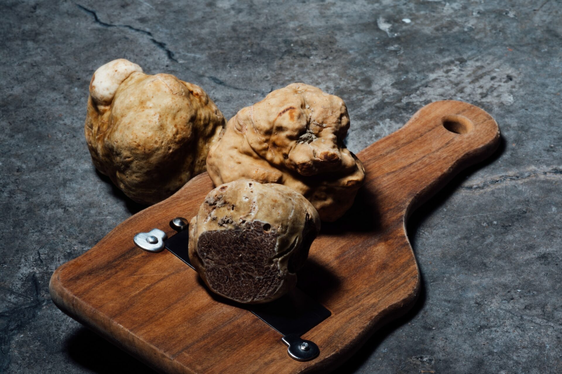 Enogastronomia e tradizioni per rilanciare le terre del sisma: ritorna “Le terre del tartufo”