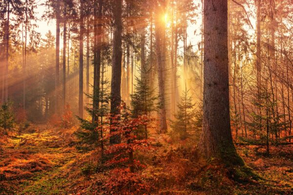Essere felici e vivere in salute grazie alla filosofia norvegese del “Friluftsliv”