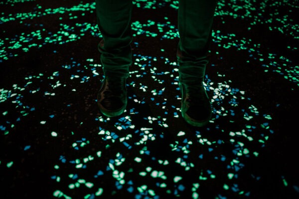 Ispirata alla “Notte Stellata” di Van Gogh: è in Olanda la pista ciclabile luminosa