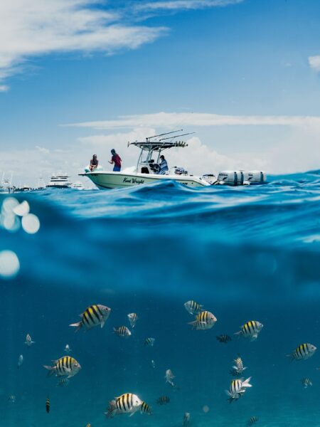 Giornata mondiale degli oceani: un ecosistema così tanto importante per l’umanità