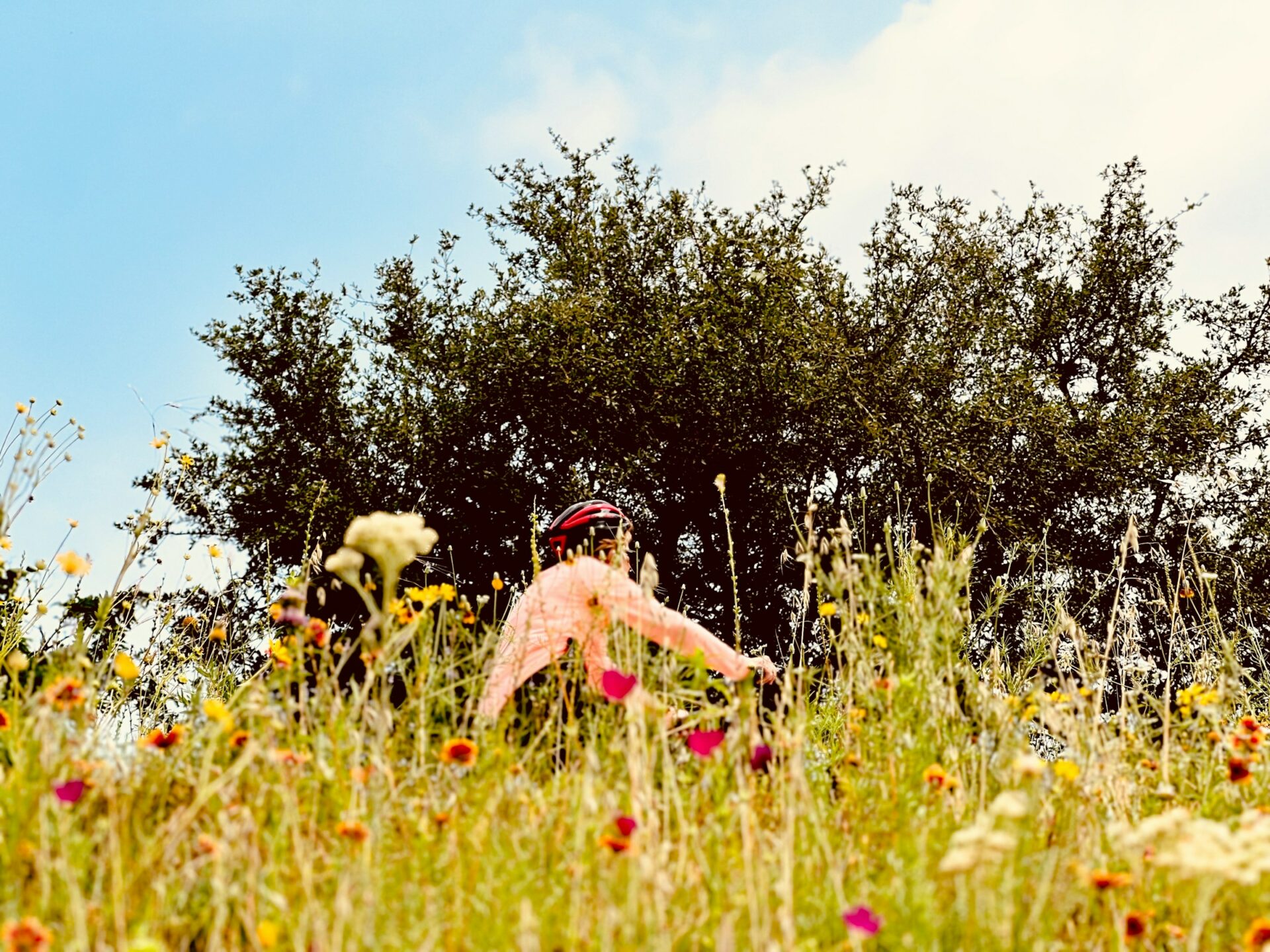 Alcuni imperdibili bike tour primaverili a contatto diretto con la natura primaverile!