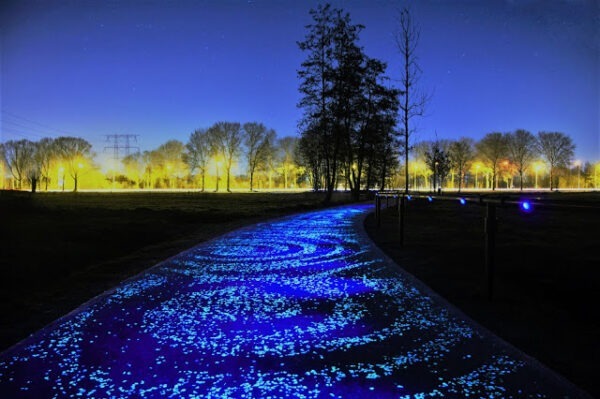 Ispirata alla “Notte Stellata” di Van Gogh: è in Olanda la pista ciclabile luminosa