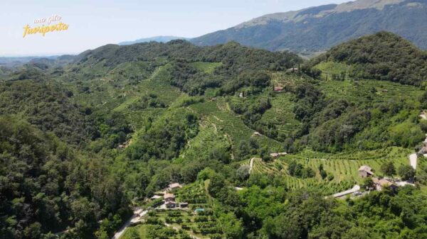 Il Cammino delle Colline del Prosecco di Conegliano e Valdobbiadene in prima visione martedì 19 settembre