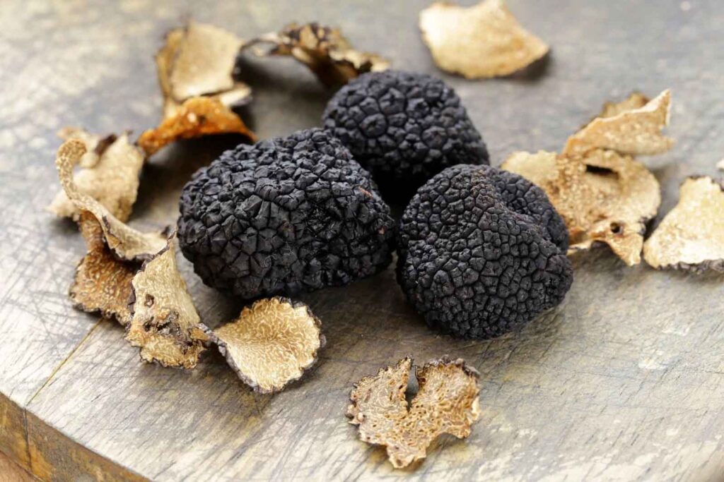 Il “diamante nero” di Scheggino protagonista del Museo del Tartufo Urbani!