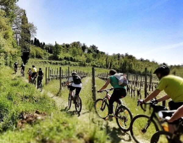 Una “gita fuoriporta” in bicicletta: qualche utile raccomandazione prima di partire!