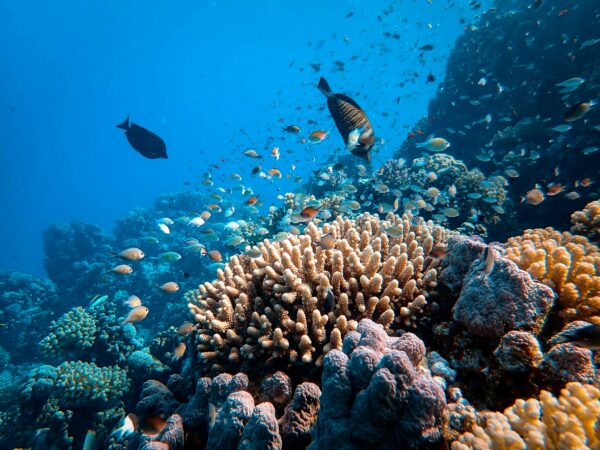 Sette meraviglie naturali da vedere almeno una volta nella vita!