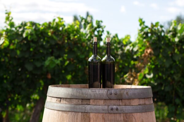 Vino: per la prima volta una cantina italiana è il miglior brand al mondo!