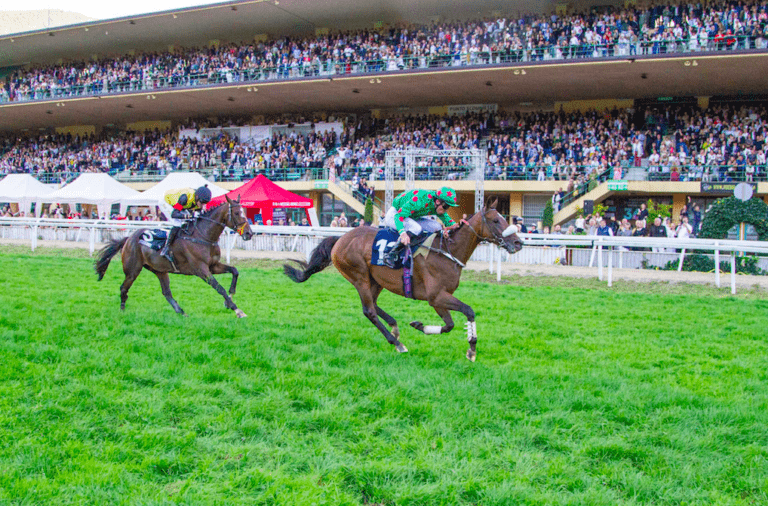 26 e 27 settembre: a Merano l’87° Gran Premio Merano Alto Adige tra ippica, eleganza e spettacolo