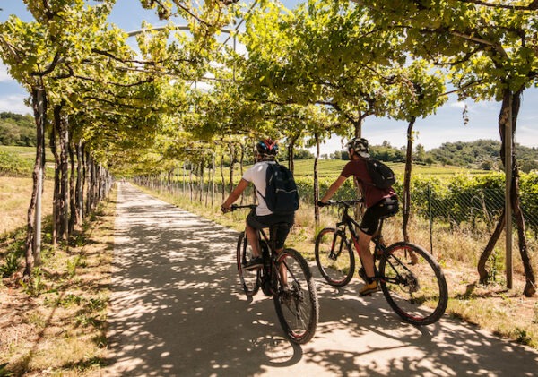 Alcuni imperdibili bike tour primaverili a contatto diretto con la natura primaverile!