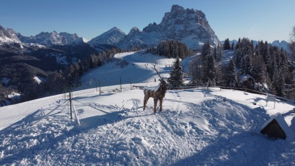 La Rotta dei Campioni conquista le vette dello Ski Civetta: le Dolomiti Bellunesi in prima visione il 4 marzo