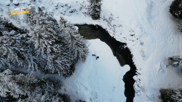 SkiArea Campiglio: l’inverno come stile di vita tra le meravigliose Dolomiti di Brenta in prima visione il 25 febbraio