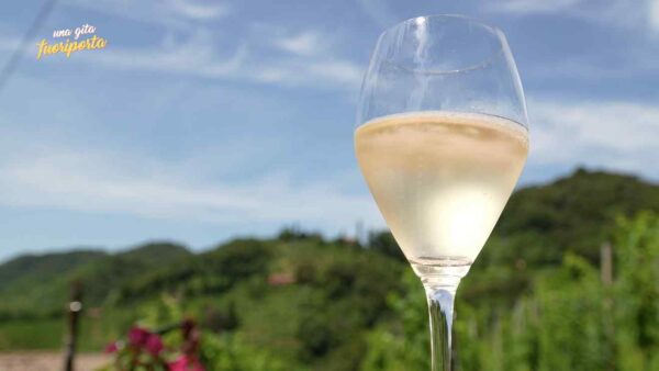 Il Cammino delle Colline del Prosecco di Conegliano e Valdobbiadene in prima visione martedì 19 settembre