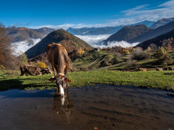 Balcone panoramico che guarda su due laghi: è l’attrattiva Valle Intelvi