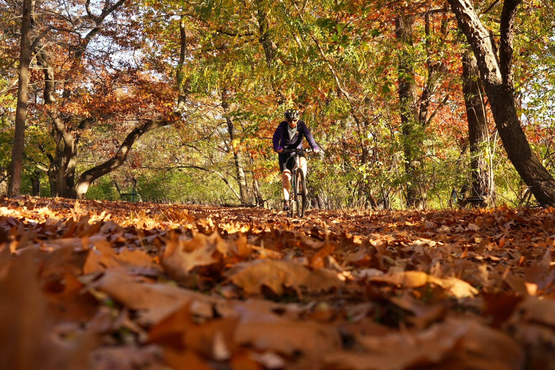 Gli itinerari più scenografici per una pedalata d’autunno in Italia
