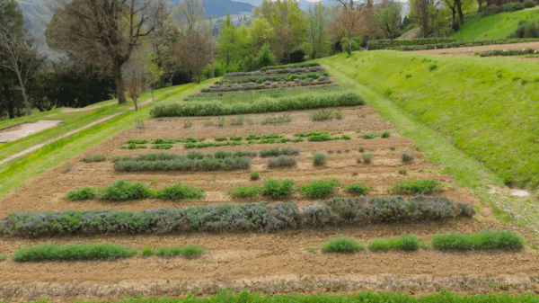 Sei tappe per esplorare la Romagna Faentina: borghi, natura e sapori in prima visione il 29 aprile