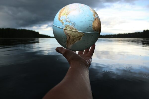 World Wildlife Day 2024: monitoraggio e rigenerazione della biodiversità