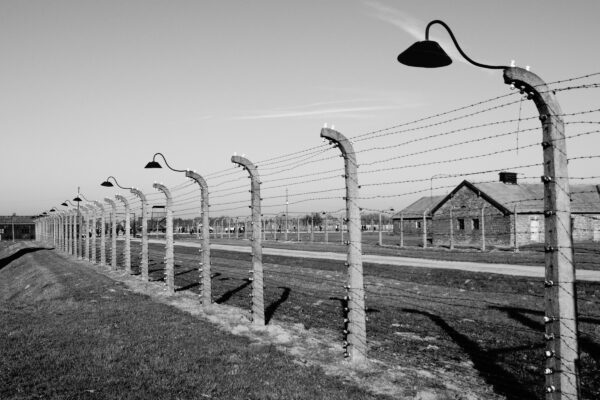 27 gennaio, Giornata della Memoria: per non dimenticare le vittime della shoah…