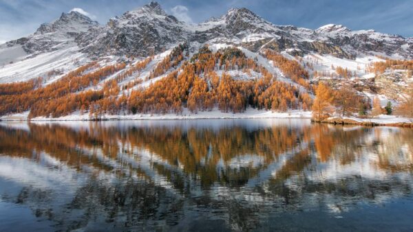 Engadina, il volto dorato dell’autunno svizzero per ammirare un foliage indimenticabile