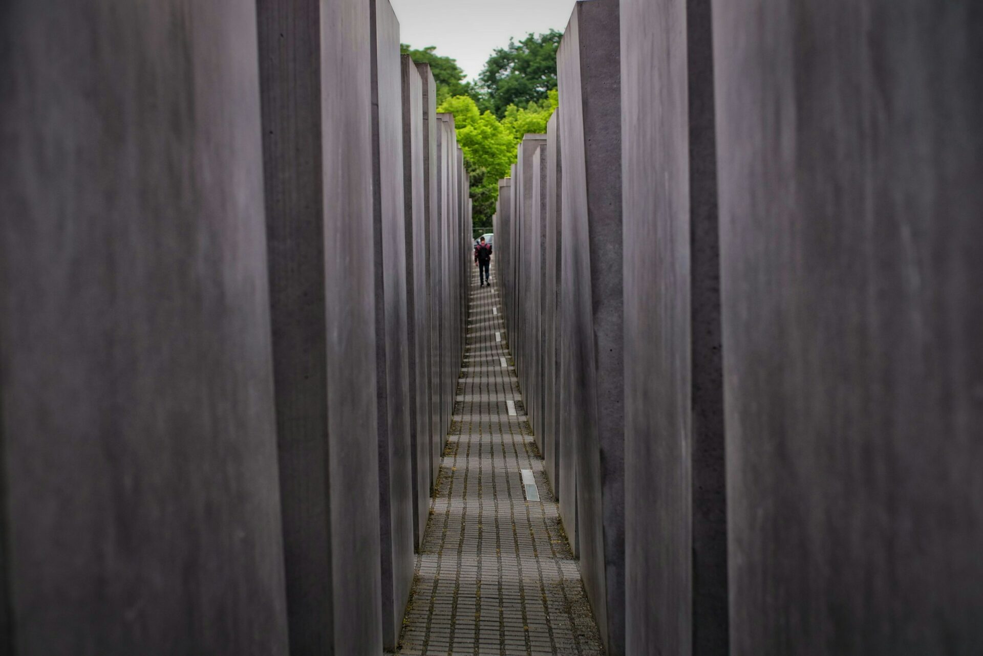 27 gennaio, Giornata della Memoria: per non dimenticare le vittime della shoah…