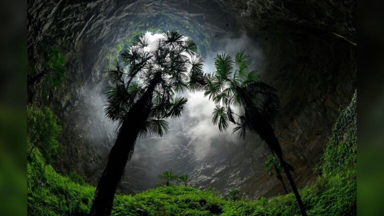 Scoperta dolina carsica nel sud della Cina, con all’interno un mondo preistorico