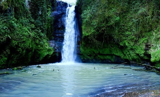 Visitate la Cascata del Picchio: un angolo segreto che non molti conoscono!