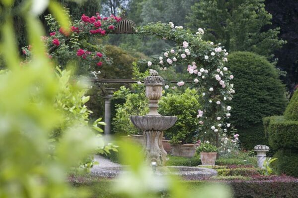 Cinque luoghi italiani dove poter ammirare la splendida fioritura dei tulipani!