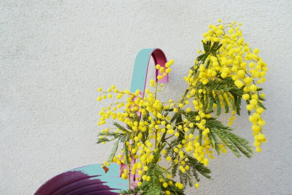 Festa della Donna: perchè si festeggia proprio l’8 marzo?