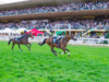 26 e 27 settembre: a Merano l’87° Gran Premio Merano Alto Adige tra ippica, eleganza e spettacolo